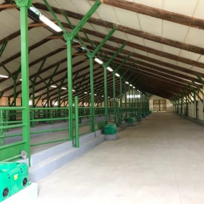 Obnova maštale ZAD Dvory nad Žitavou - 2